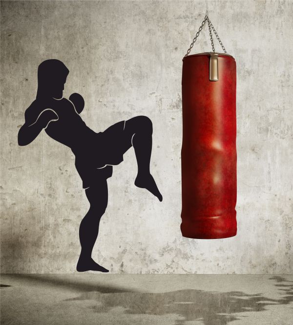 Boxer 2 als Wandtattoo