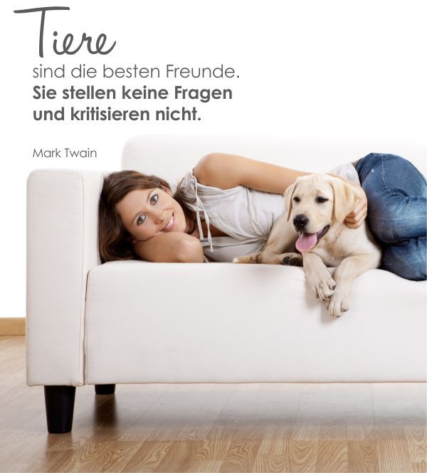 Tiere sind die besten... als Wandtattoo