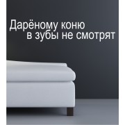 Einem geschenkten... als Wandtattoo