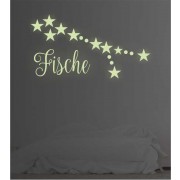Sternzeichen Fische leuchtend