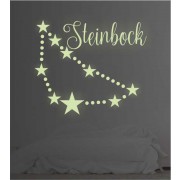 Sternzeichen Steinbock leuchtend