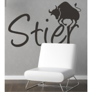 Stier mit Symbol