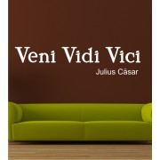 Veni Vidi Vici als Wandtattoo