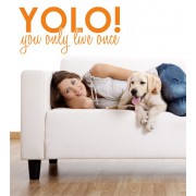 Yolo 2 als Wandtattoo