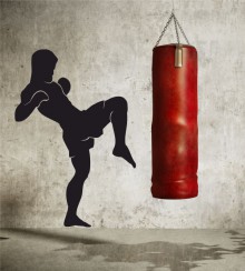 Boxer 2 als Wandtattoo