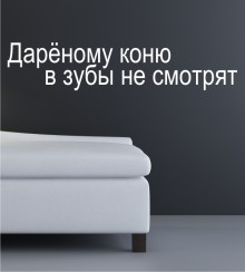 Einem geschenkten... als Wandtattoo