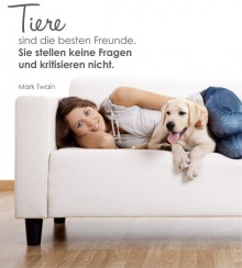 Tiere sind die besten... als Wandtattoo