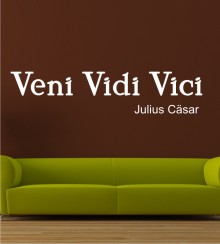 Veni Vidi Vici als Wandtattoo
